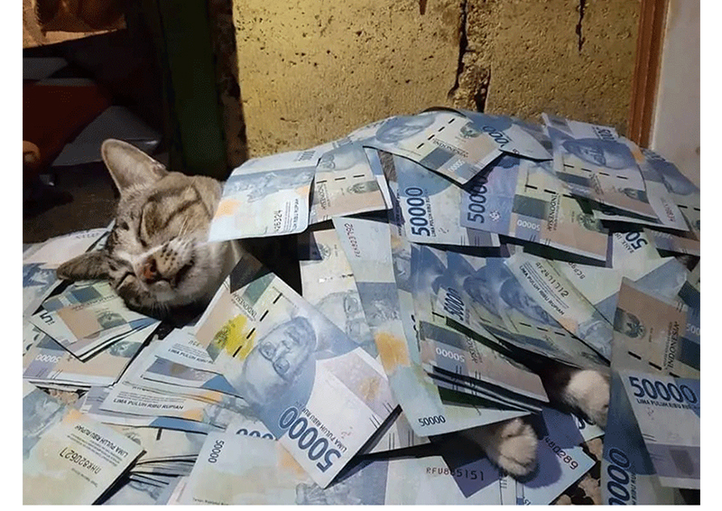 1652928920204791.jpg 41.jpg